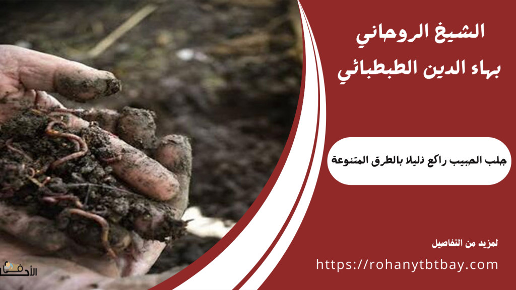 جلب الحبيب راكع ذليلا بالطرق المتنوعة
